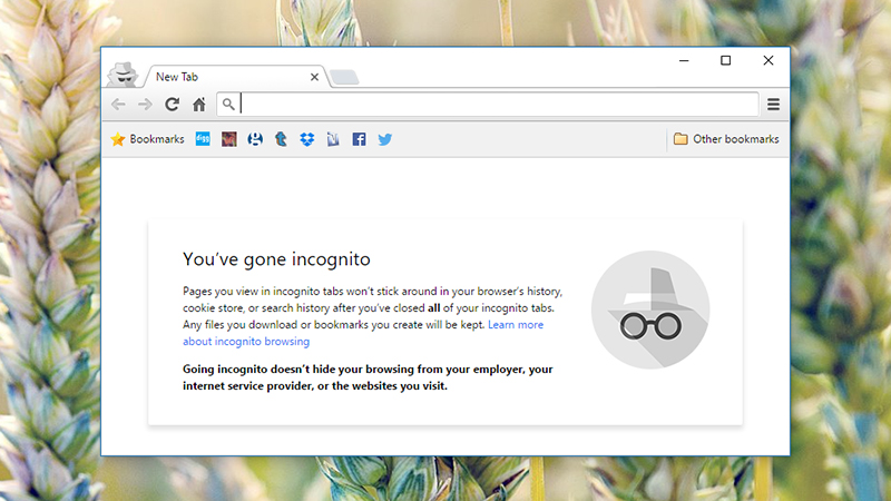 Illustration for article titled Your Browser's Private Mode Isn't as Secret as You Think